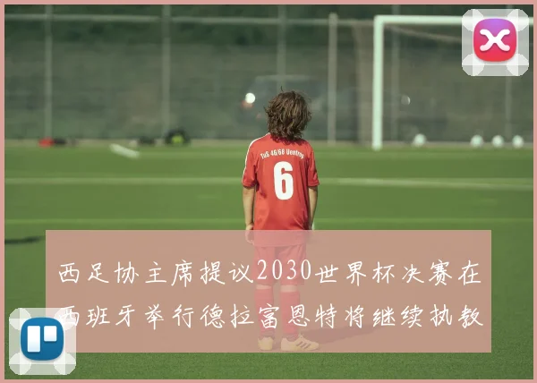 西足协主席提议2030世界杯决赛在西班牙举行德拉富恩特将继续执教国家队